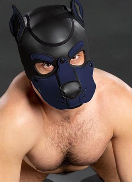 Mr. S Neo K9 Hood Navy Small