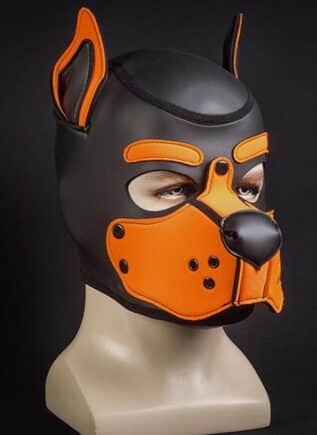 Mr. S Neo K9 Hood Orange Small