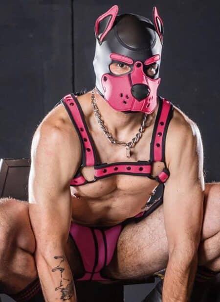 Mr. S Neo K9 Hood Pink Extra large
