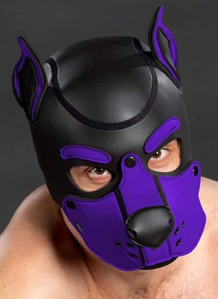 Mr. S Neo K9 Hood Purple Medium