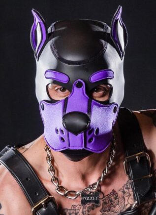 Mr. S Neo K9 Hood Purple Medium