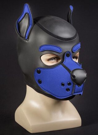 Mr. S Neo K9 Hood Royal Blue Medium