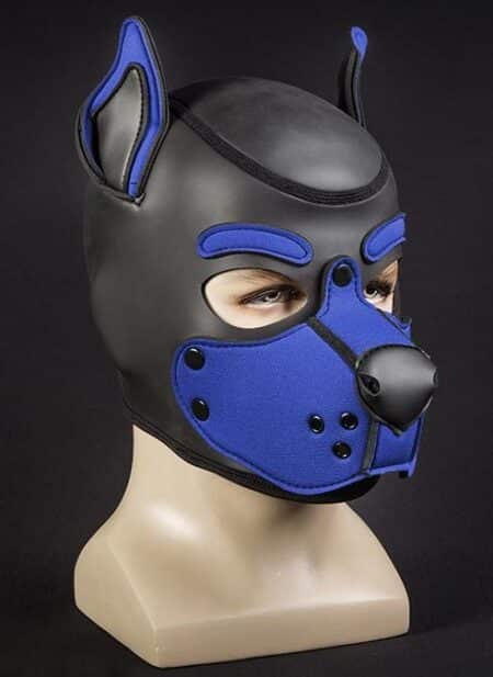 Mr. S Neo K9 Hood Royal Blue Medium