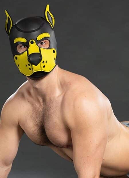 Mr. S Neo K9 Hood Yellow Extra large
