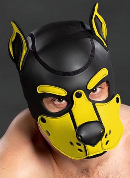 Mr. S Neo K9 Hood Yellow Extra large
