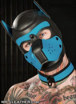 Mr. S Neoprene Puppy Hood Aqua Small