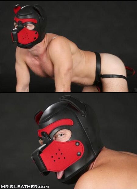 Mr. S Neoprene Puppy Hood Red Extra large
