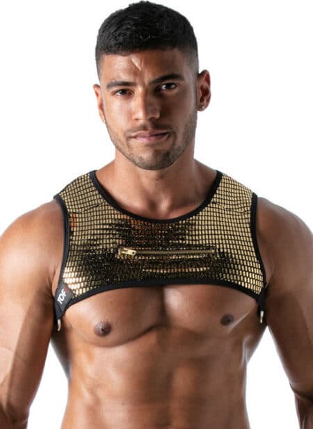 ToF Paris Star Harness Gold Extra large