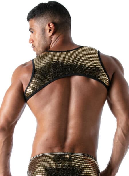 ToF Paris Star Harness Gold Extra large