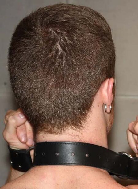 Mr. S Leather Hobble Belt Small