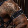 Mr. S Leather Piped Trojan Bicep Strap Blue Small