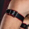 Mr. S Leather Piped Trojan Bicep Strap Red Large