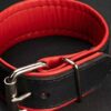 Mr. S Leather Piped Trojan Bicep Strap Red Large