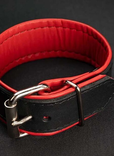 Mr. S Leather Piped Trojan Bicep Strap Red Large