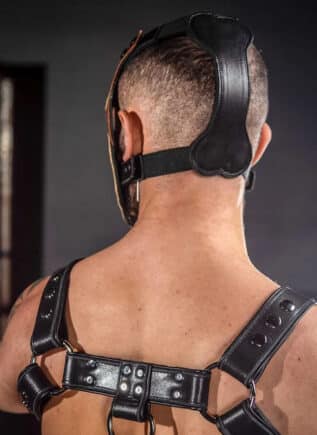Mr. S Leather Bone Hound Puppy Muzzle Brown