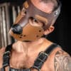 Mr. S Leather Bone Hound Puppy Muzzle Brown