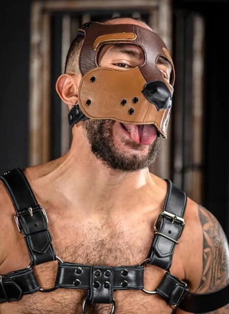 Mr. S Leather Bone Hound Puppy Muzzle Brown