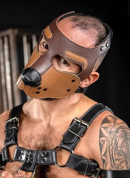Mr. S Leather Bone Hound Puppy Muzzle Brown