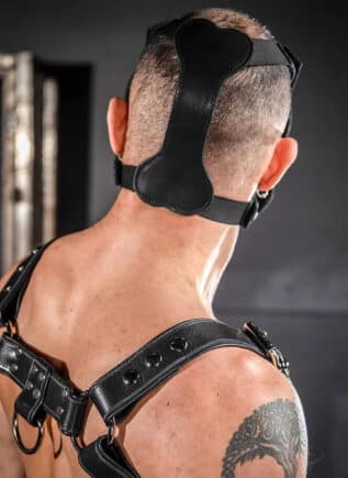 Mr. S Leather Bone Hound Puppy Muzzle Grey