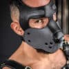 Mr. S Leather Bone Hound Puppy Muzzle Grey