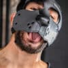Mr. S Leather Bone Hound Puppy Muzzle Grey