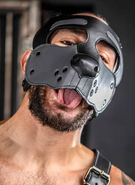 Mr. S Leather Bone Hound Puppy Muzzle Grey