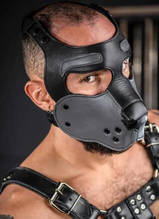 Mr. S Leather Bone Hound Puppy Muzzle Grey