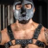 Mr. S Leather Bone Hound Puppy Muzzle Grey