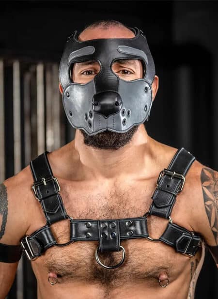 Mr. S Leather Bone Hound Puppy Muzzle Grey