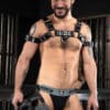 Mr. S Leather Bone Hound Puppy Muzzle Grey