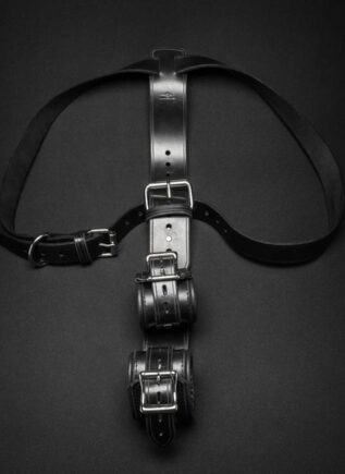 Mr. S Leather Shoulder to Wrist Restraints