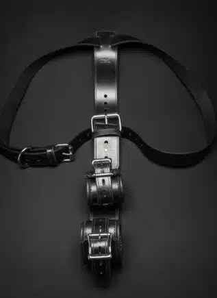 Mr. S Leather Shoulder to Wrist Restraints