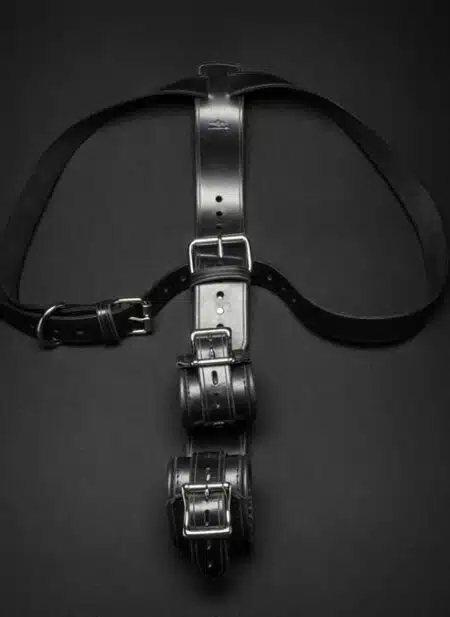Mr. S Leather Shoulder to Wrist Restraints