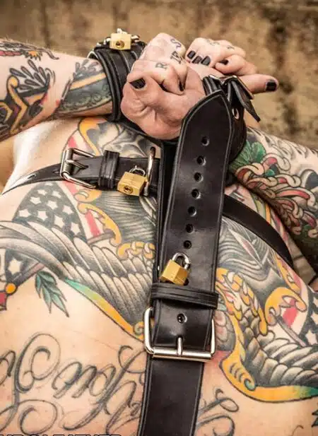 Mr. S Leather Shoulder to Wrist Restraints