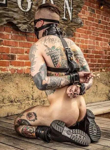 Mr. S Leather Shoulder to Wrist Restraints