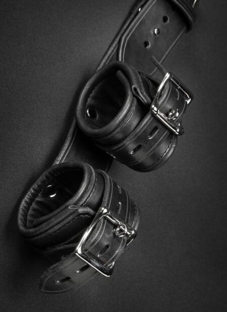 Mr. S Leather Shoulder to Wrist Restraints