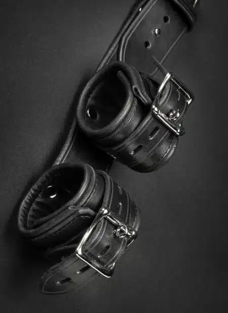 Mr. S Leather Shoulder to Wrist Restraints