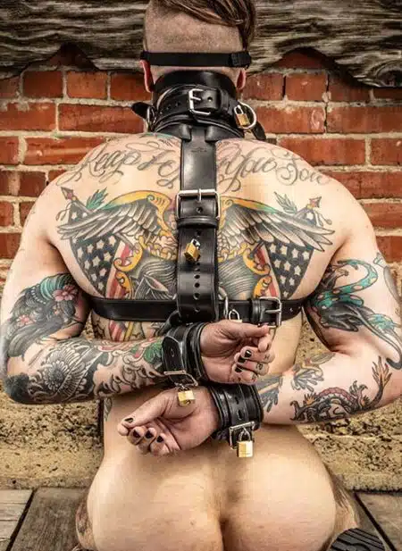 Mr. S Leather Shoulder to Wrist Restraints