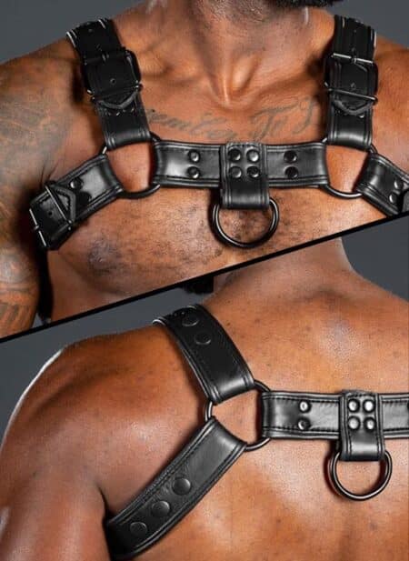 Mr. S Leather Dark Room Bulldog Harness Blue Small / Medium
