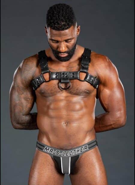 Mr. S Leather Dark Room Bulldog Harness Blue Small / Medium