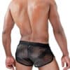 TOF Paris Roman Shorts Medium
