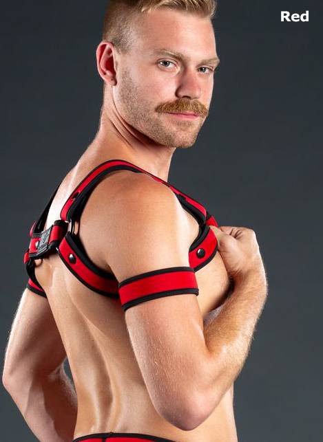Mr. S Neoprene Bold Color Bicep Strap Purple Extra large