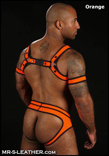 Mr. S Neoprene Bold Color Bicep Strap Purple Extra large