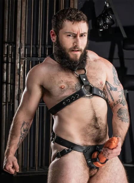 Mr. S Leather Strap On Dildo Harness Large / Extra large