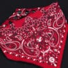 Mr. S Neck Hanky with Zipper Pocket Red