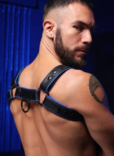 Mr. S Leather Hardline Bulldog Harness Blue Small / Medium