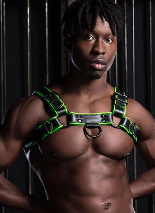 Mr. S Leather Hardline Bulldog Harness Lime Small / Medium