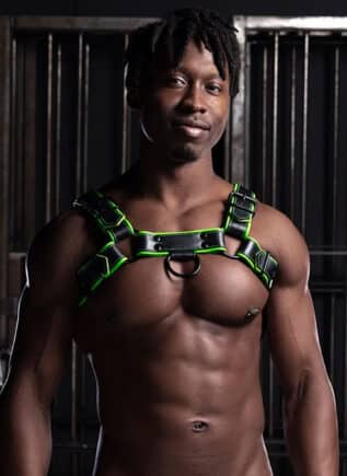 Mr. S Leather Hardline Bulldog Harness Lime Small / Medium