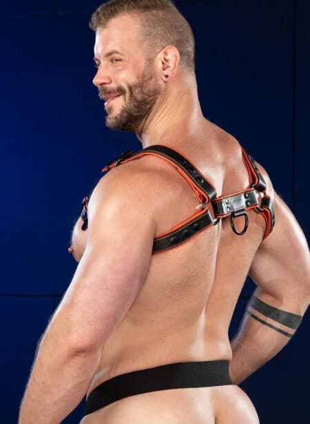 Mr. S Leather Hardline Bulldog Harness Orange Medium/Large