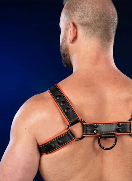 Mr. S Leather Hardline Bulldog Harness Orange Medium/Large